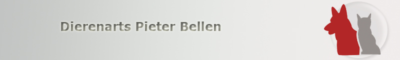 Dierenarts Pieter Bellen